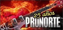 banner pronorte