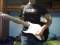 Avatar de Arget
